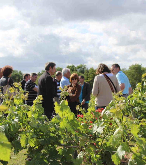 muscadet forgeau detente1