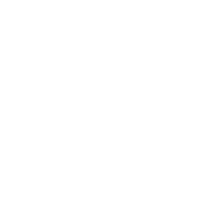 Logo Domaine Forgeau 2023 blanc